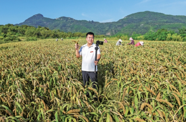 西山村：机器响、产业兴、游客来农文旅融合铺就致富路