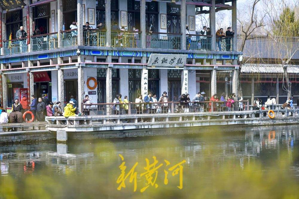 仲春时节开启“追花游”，济南踏青赏花热度攀升