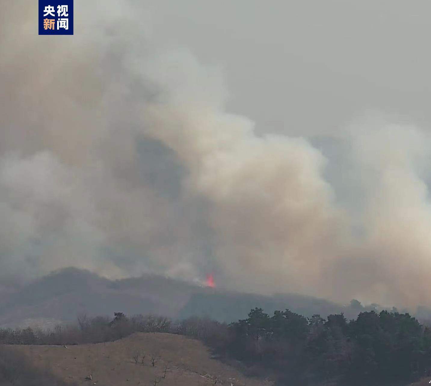 辽宁抚顺发生山火，救援力量已赶赴现场