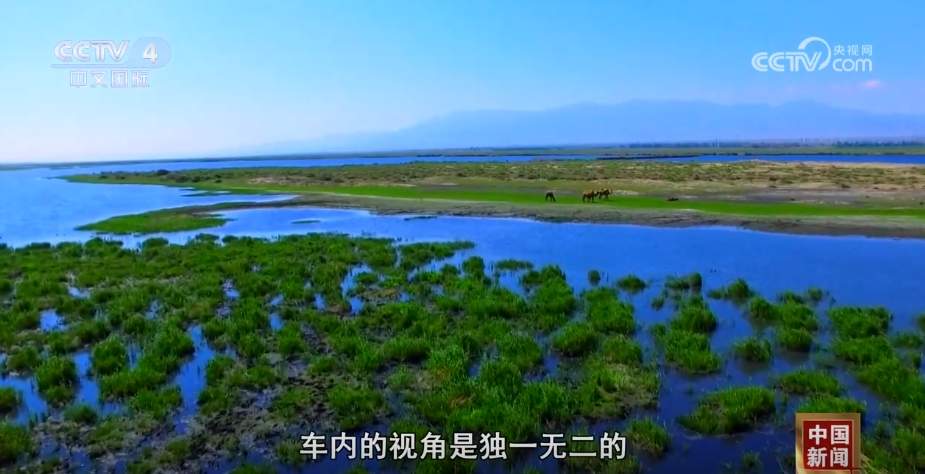 日均1.7亿人次!暑运市场供需两旺