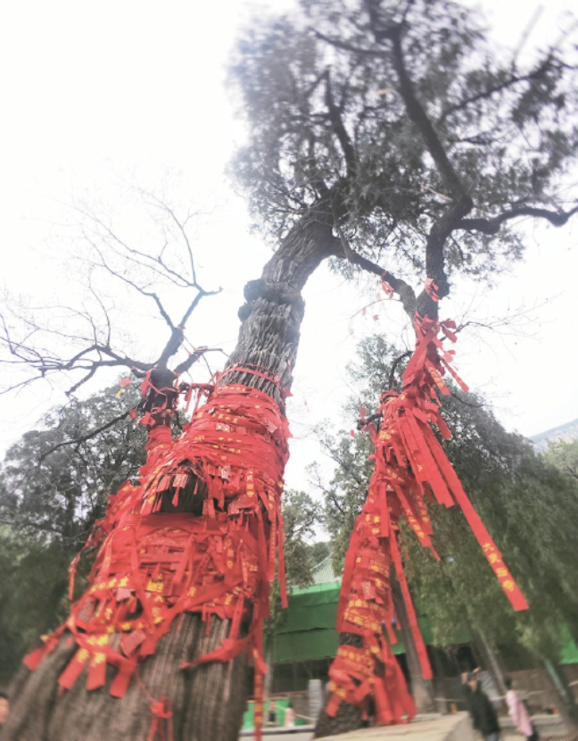 济南故事、济南服务、济南老师儿……出游意见簿，百姓说了啥？