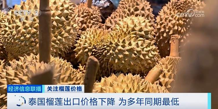 降！降！降！榴莲多年来最低价的背后是这些原因