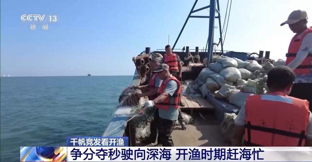 开渔期赶海忙!山东各大鲜活海产“游”进市场