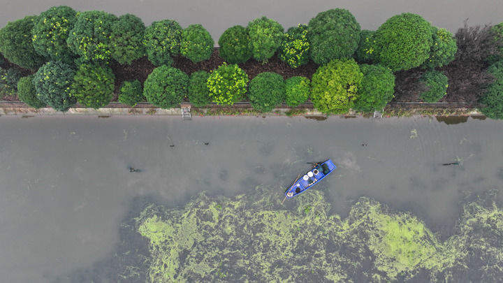 四中全会精神在基层｜锚定高质量发展，书写中部崛起新篇章