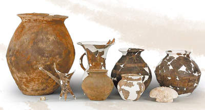 一只3700年前的小扇贝，成了博物馆“明星”展品