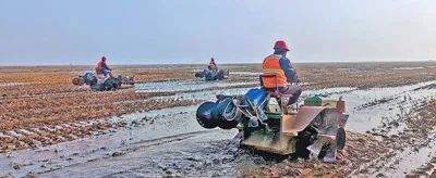 人民日报记者一线调研:山东东营黄河口治“草”记