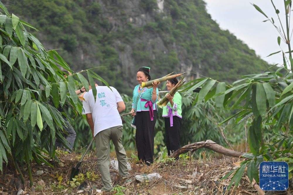 可爱的乡村——跨区域协作助深山苗寨产业发展
