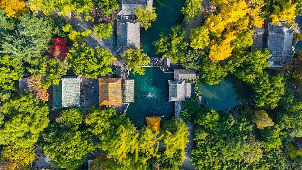 趵突泉公园开启变色模式，层林浸染触摸诗情画意