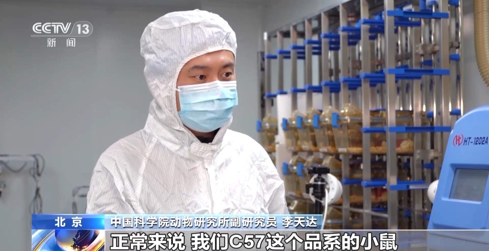 航天小鼠已顺利产下三窝后代 空间繁育研究获新进展