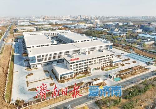 以项目为基,筑起城市发展新高度