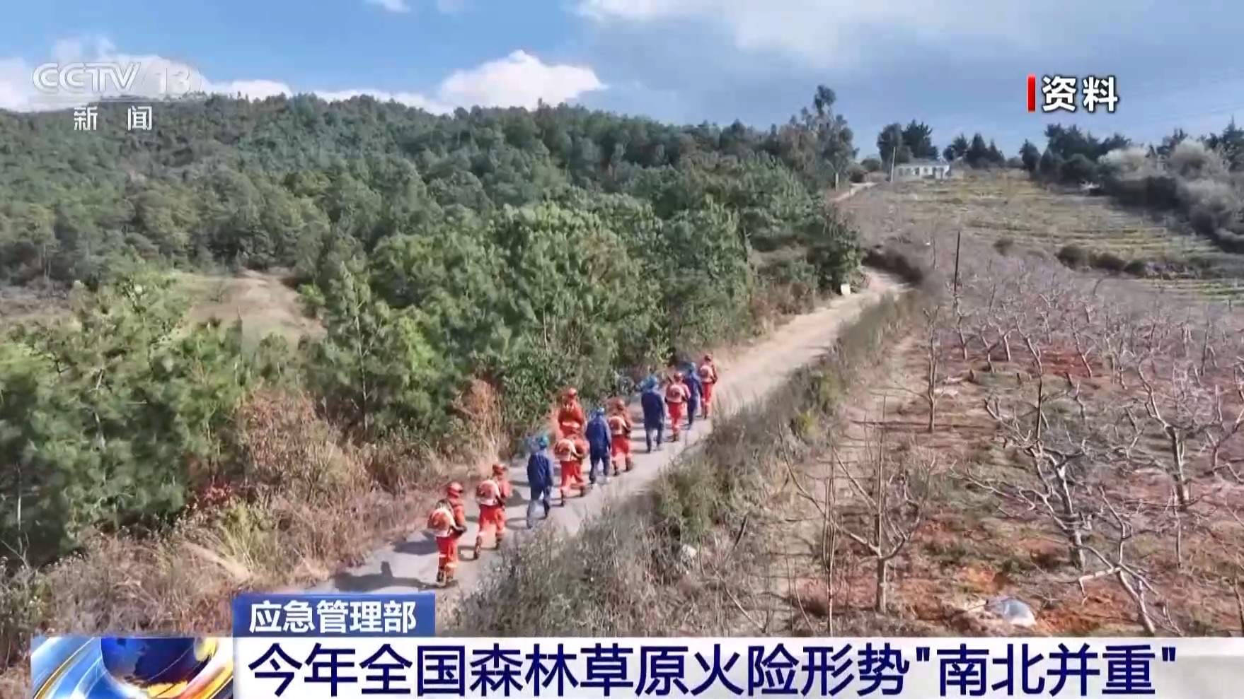 如遇森林火灾怎么办？火险等级怎么定？这些知识要了解