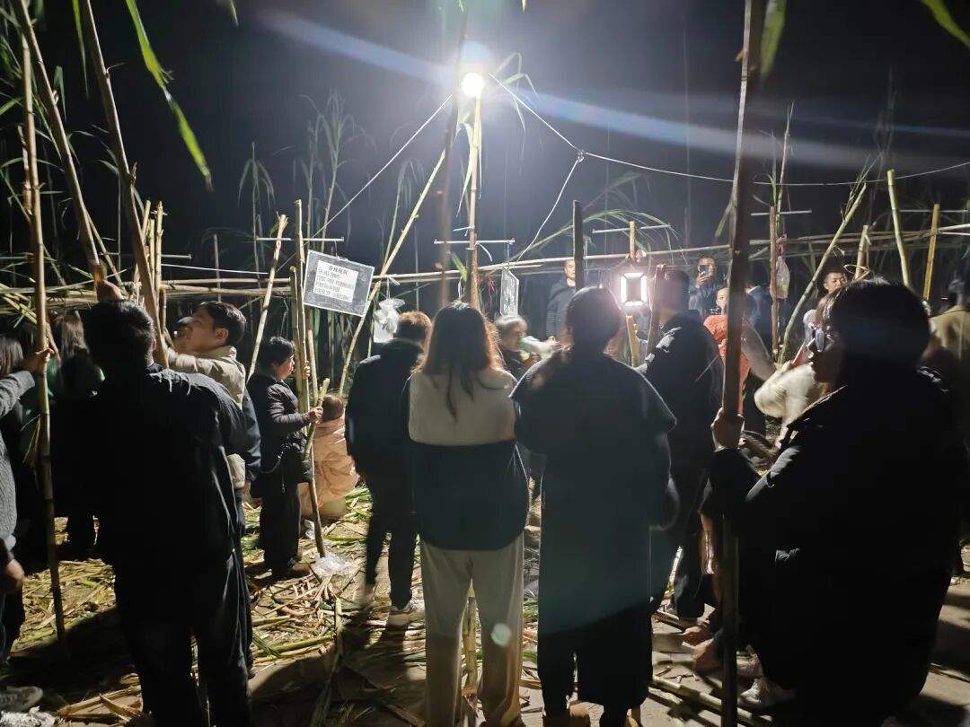 四川眉山“偷甘蔗”现场：民警到场维持秩序，老板称以前想当网红，现在累得笑不出来