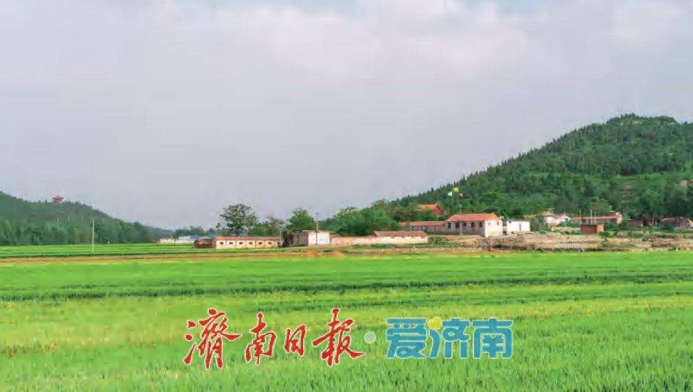 事关粮食初加工企业用电价格，济南明确申报审核流程