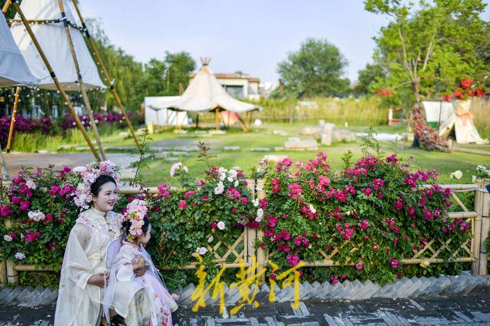 老城区新晋花墙打卡点 解锁初夏古城浪漫
