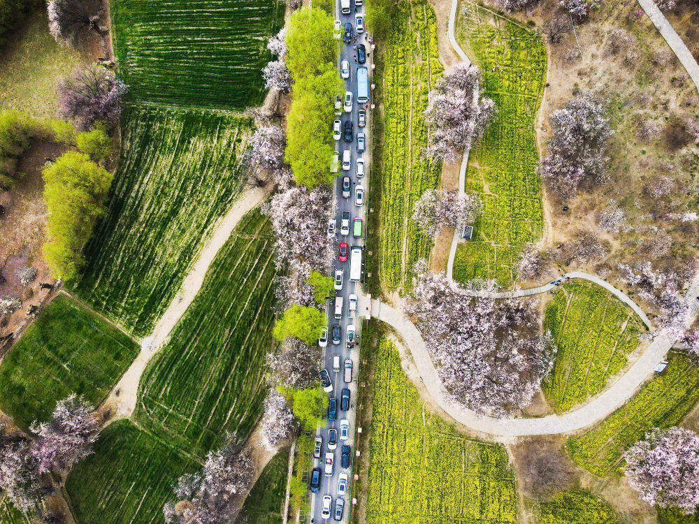 镜观·回响|擦亮兴边富民的“桃花村”品牌