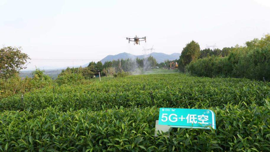 开局之年看中国·解码“产业大脑”｜数字赋能一片绿叶！日照精制茶加工产业大脑助推茶产业高质量发展