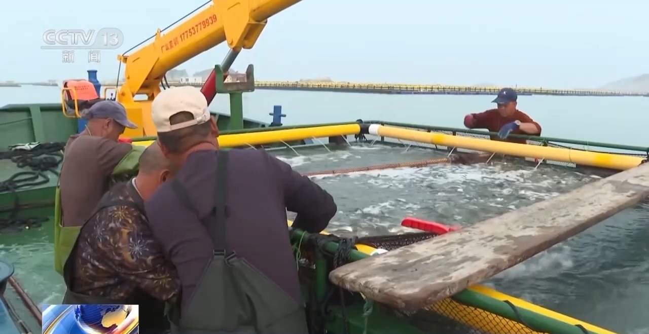 田间海上春耕忙 智能设备描绘出一幅幅“数字春耕图”