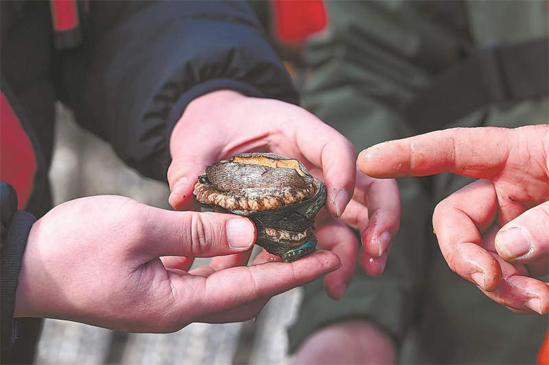 联播+｜激活蓝色经济