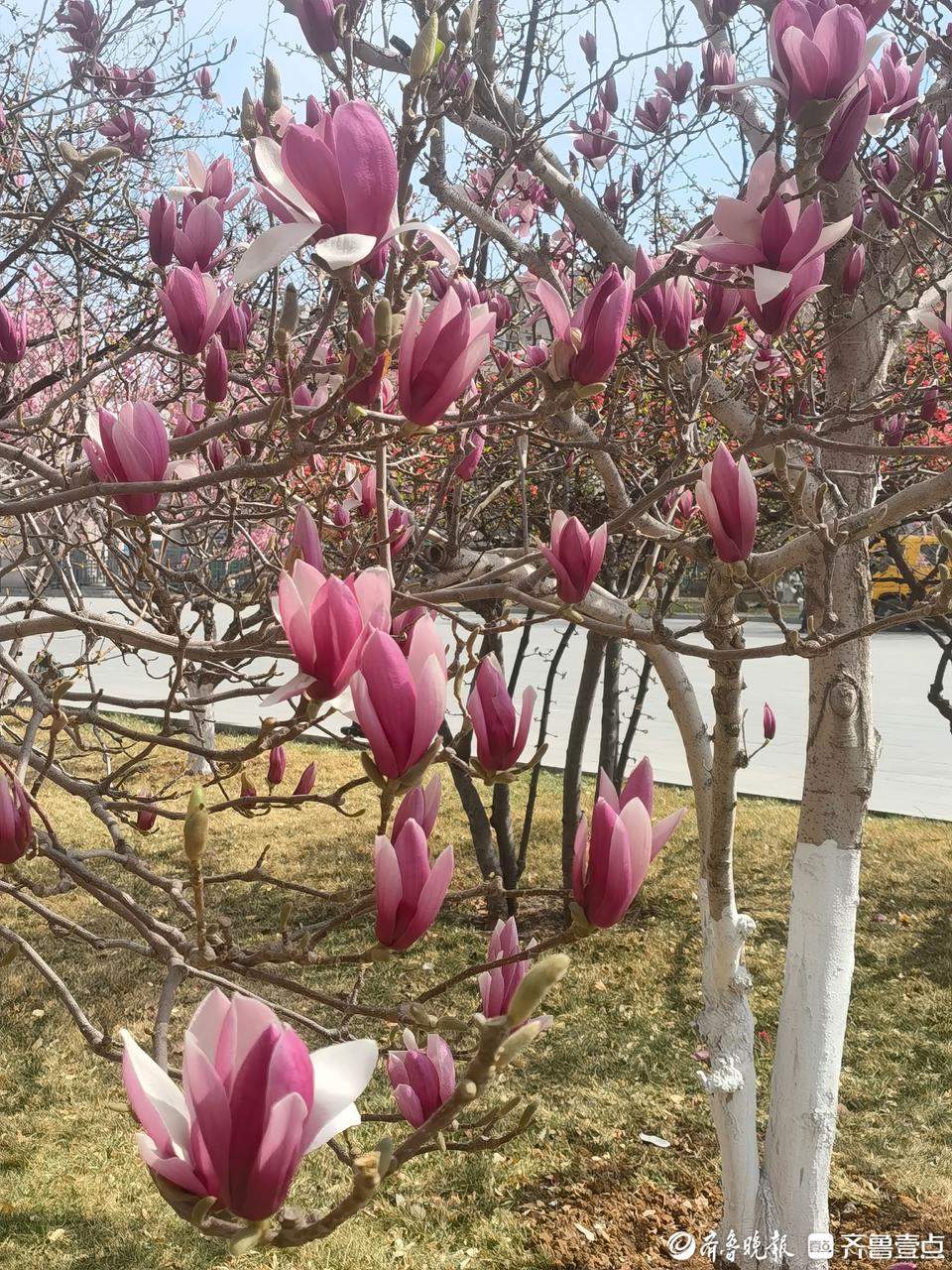 山大校园重新开放：欢迎朋友们到访 请一起爱护