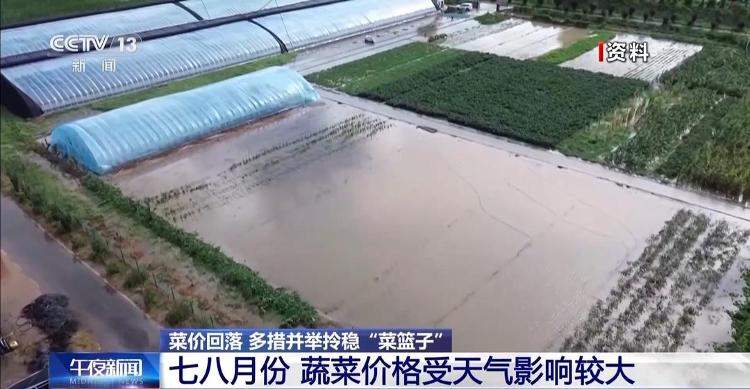 菜价波动后逐渐回落 山东等地如何拎稳“菜篮子”？