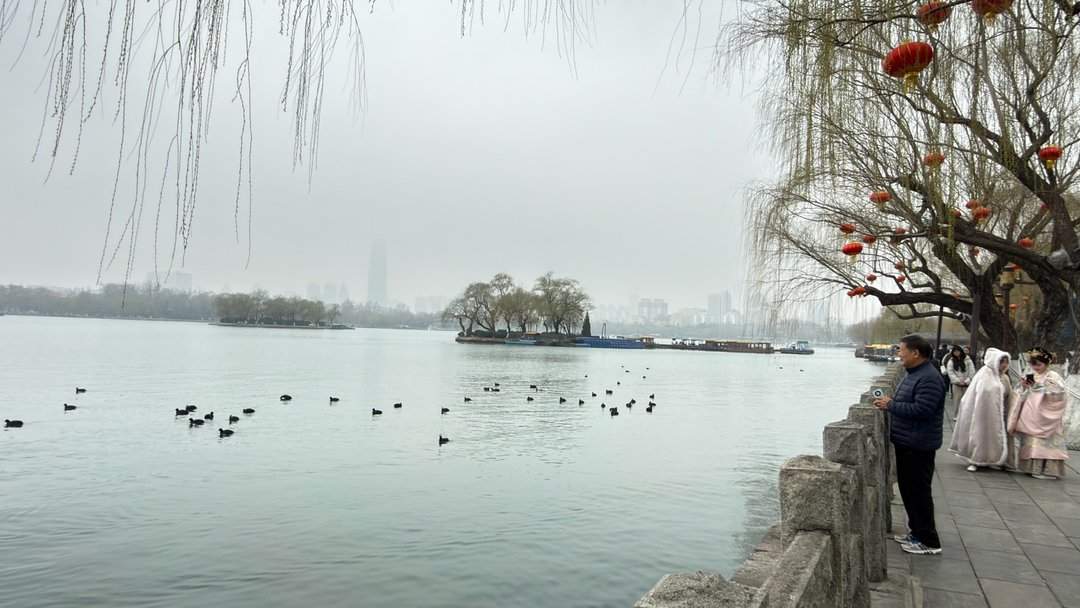 清风柳绿，春到大明湖