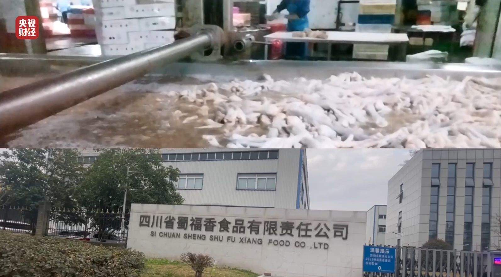 3·15晚会｜曝光黑心“漂白鸡爪”！生产车间令人作呕！有毒的双氧水随便用！