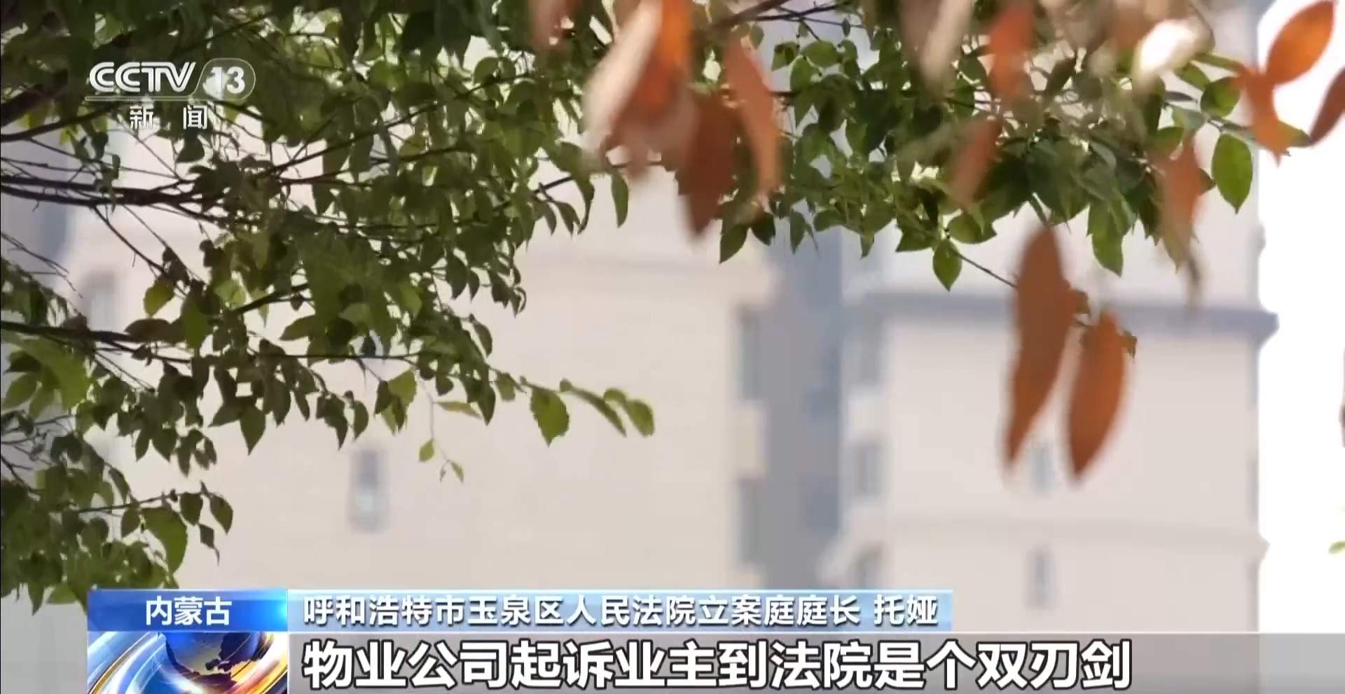108户业主被告上法庭 小区物业费纠纷该如何处置？