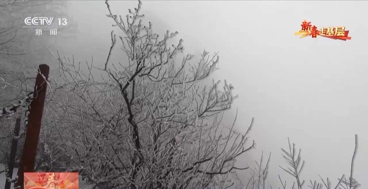 “决战”华山之巅！这群扫雪人崖壁清雪守险关