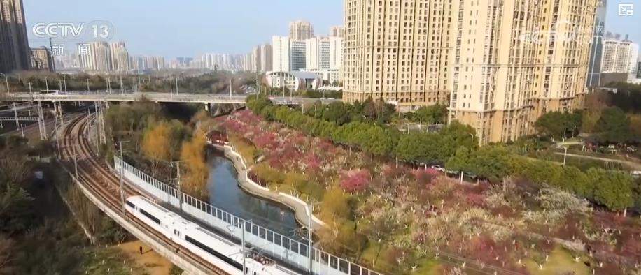 “高铁+旅游”深度融合:特色专列助力暑期乡村游市场升温