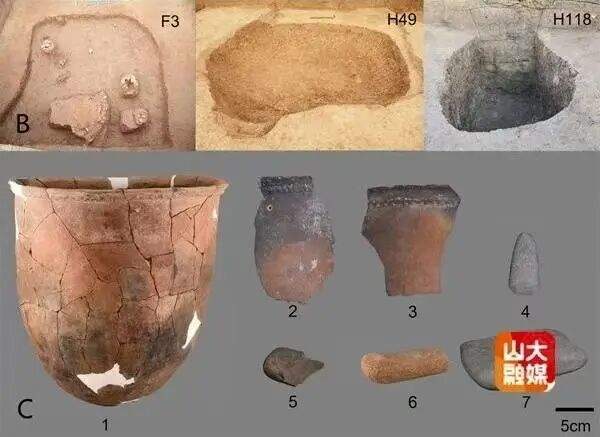 重大考古发现!山东发现9000年前炭化小豆,比黄帝炎帝的传说还要早4000年