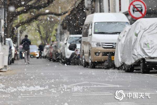 又到飞絮季！2025杨柳絮盛飞预警地图来了