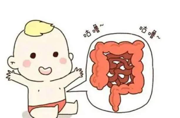 聚焦喂养核心：哪款奶粉营养全面好吸收？按体质选对更省心