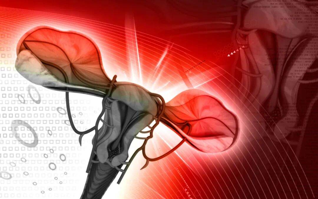 预防宫颈癌，筑牢三道“宫墙” 