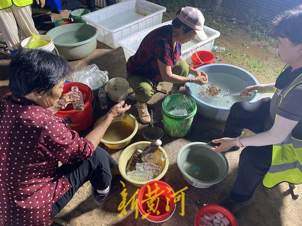 记者深夜直击“捕蝉大军”：百亩树林一晚200余人收获金蝉200余斤