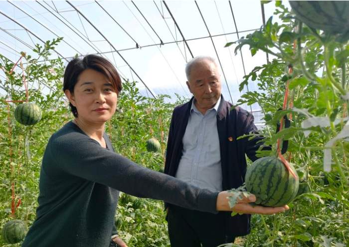 15—20元/斤，仁风富硒西瓜一周后将大量上市