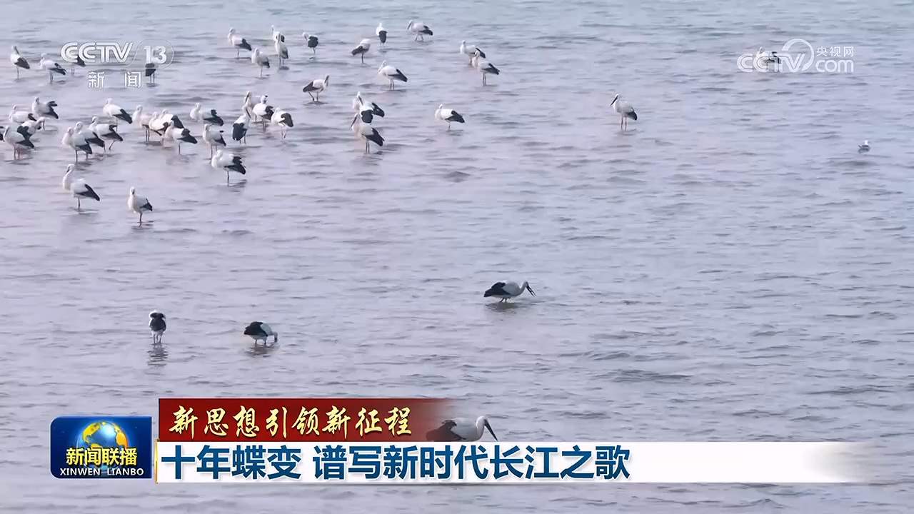 【新思想引领新征程】十年蝶变 谱写新时代长江之歌