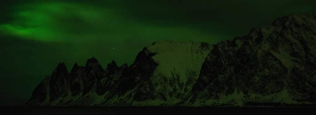 火爆全网的“派大星”博士，找到啦！