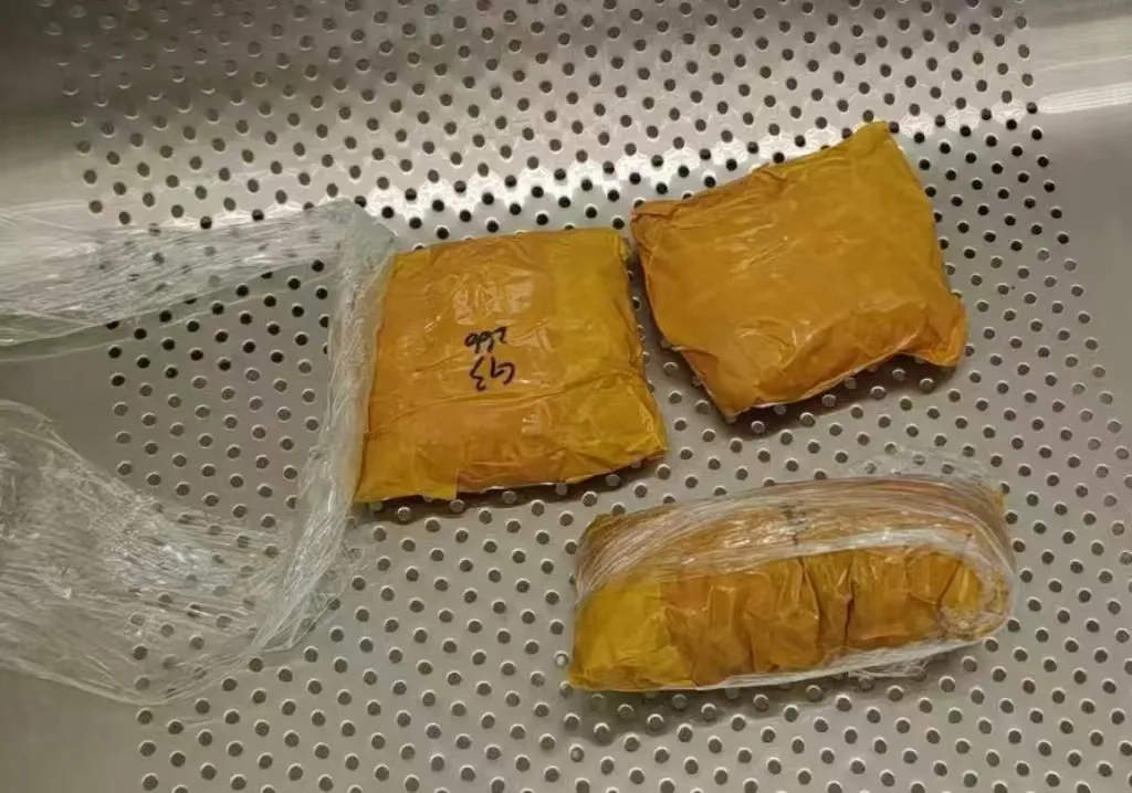 女子进境时神色紧张、举止异常！竟在胸部、裆部藏了626粒黑珍珠