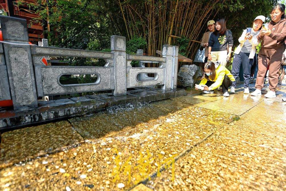 五龙潭公园古温泉“喝饱” 汇聚成溪现清泉石上流景观