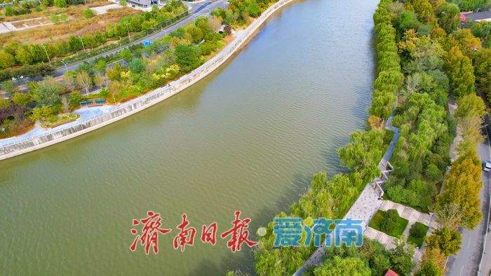 秋染清河岸，水韵入画来 济南小清河铺展秋日生态长卷