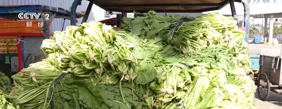 时令蔬菜大量上市丰富“菜篮子” 冬日餐桌“鲜”气十足