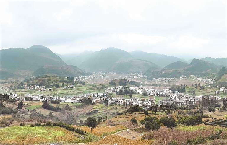 【新春走基层·走进贵州】楠木村：科技撑起千亩梨园