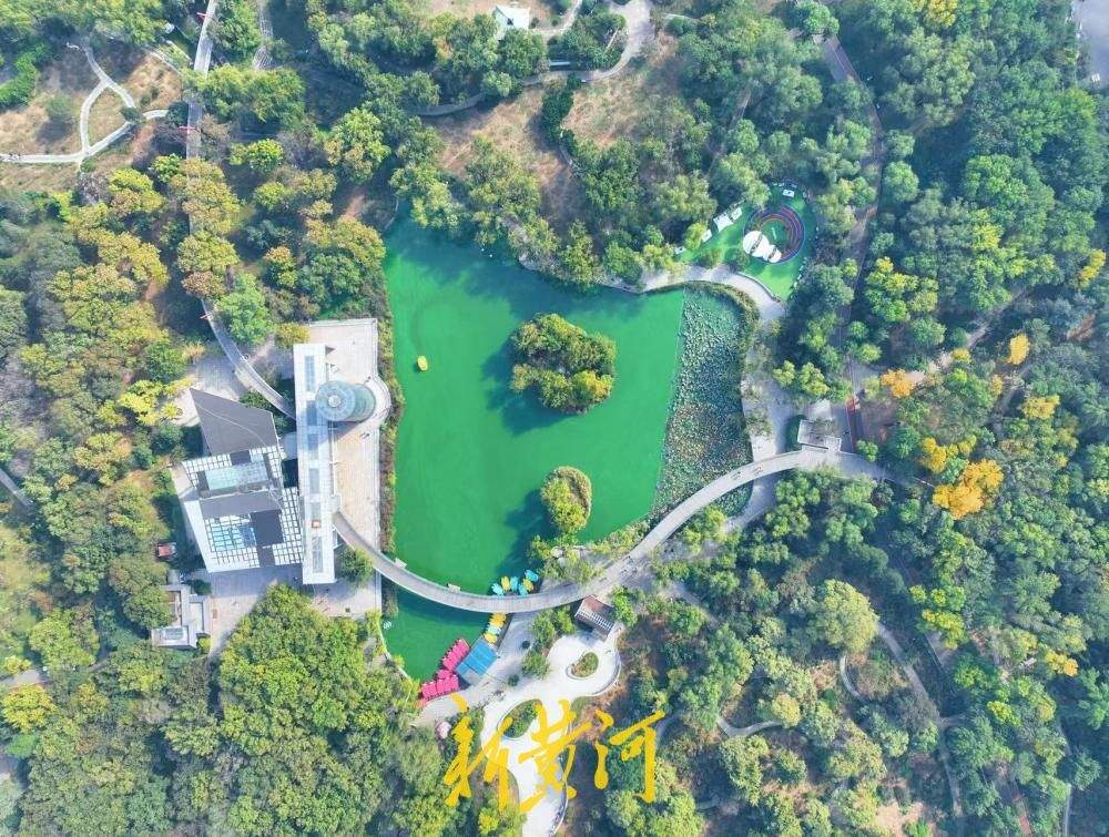 一年四季 泉在济南丨满园秋韵入眼帘，泉城公园赏斑斓林色