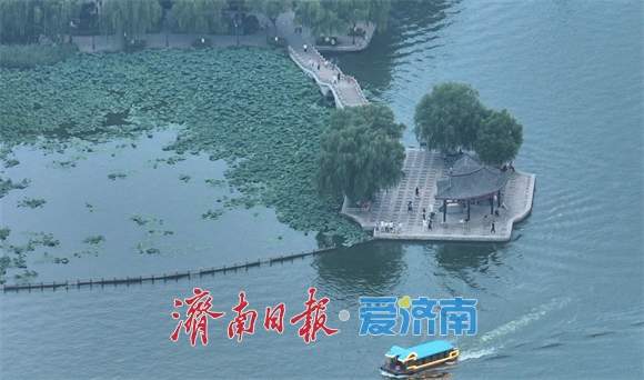 一年四季 泉在济南丨盛夏傍晚，游客乘船畅游大明湖享受自然凉