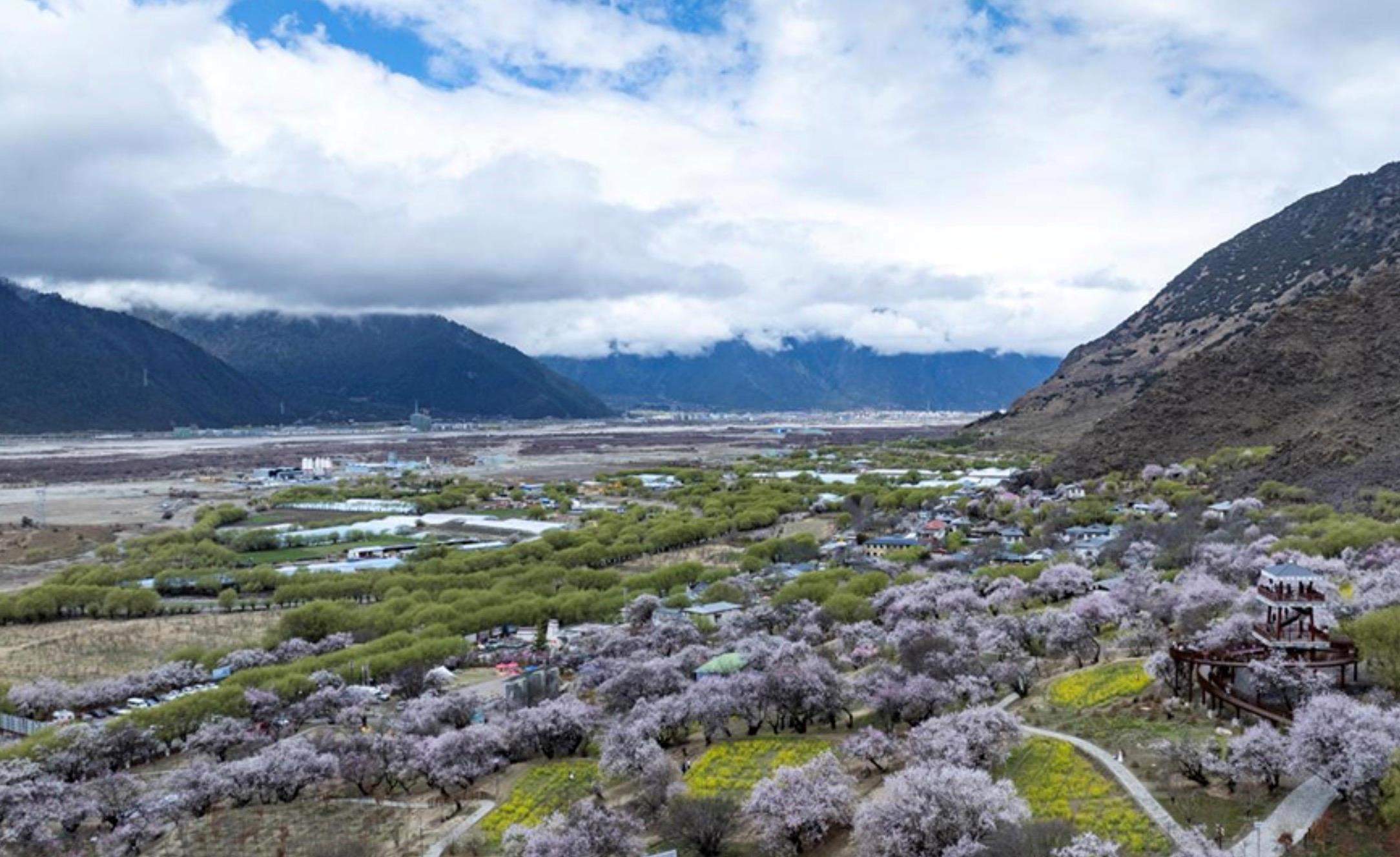 时政微观察丨砥柱中流 风华正茂