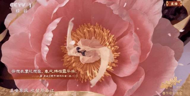 原来《贺花神》里，藏着这些东方美学！