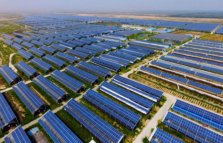 山海情深向未来