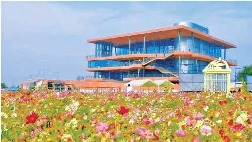 春到乡村干劲足！济南田间有生机，乡村有奔头