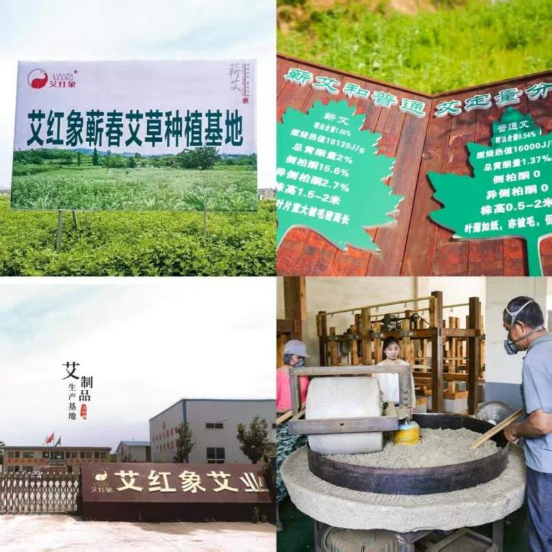 艾红象：深耕蕲艾非遗技艺 让千年艾灸文化惠及现代健康生活