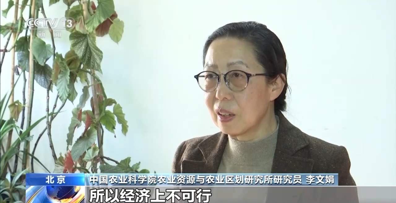 包装玉米是“僵尸玉米”？专家解读